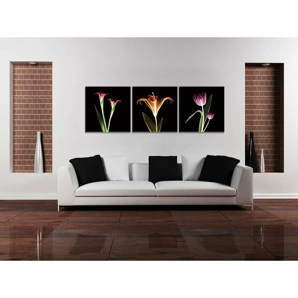 Work-Of-Art 3 Piece Tropical Wrapped Canvas Wall Art Print - Multi Color - 16 x 48 x 0.875in. WO2838140